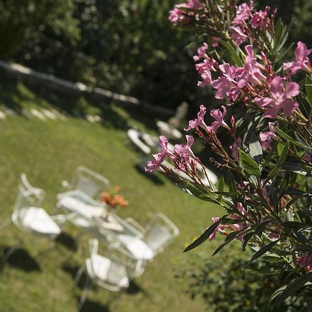 Archontiko Petras 1821 Otel Dış mekan fotoğraf
